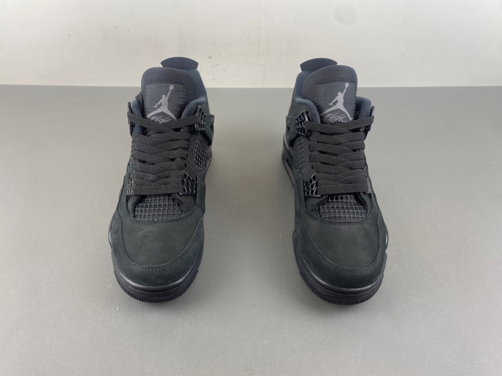 Air Jordan 4 “Black Cat” FV5029-010