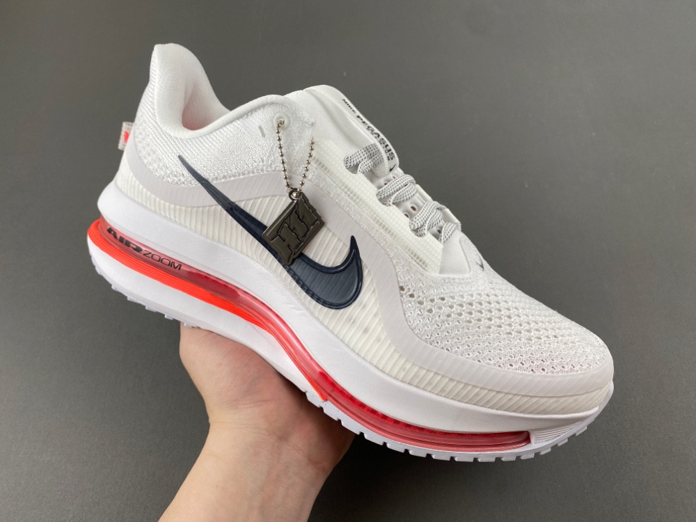 Nike Pegasus Premium Summit HQ2593-101