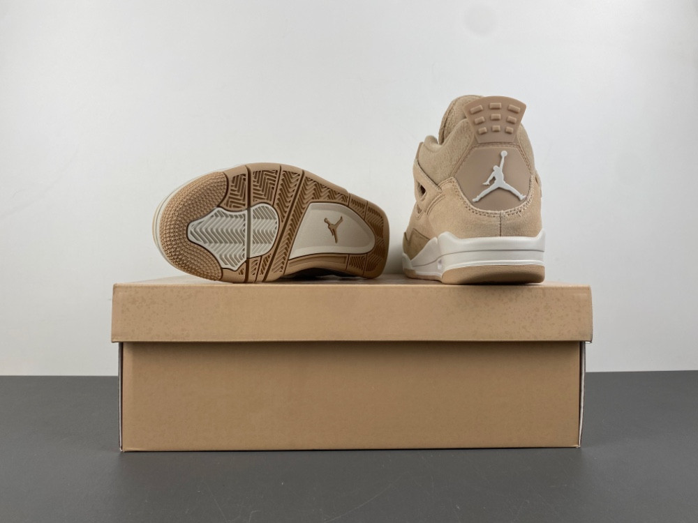 Air Jordan 4 Retro HV0823-200
