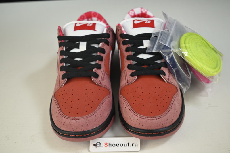 Nike SB Dunk Low “Lobster” 313170-661