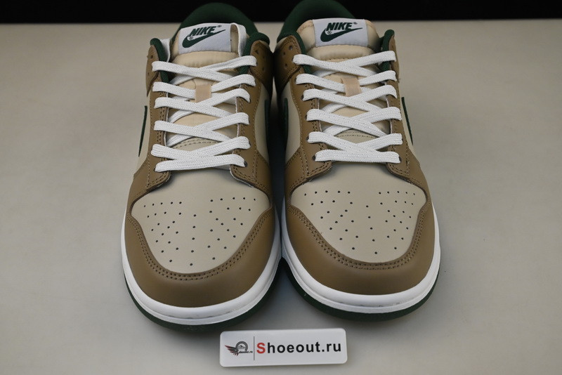 Nike Dunk Low FB7160-231