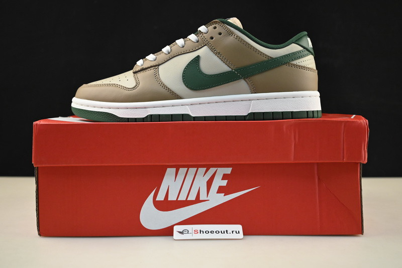 Nike Dunk Low FB7160-231