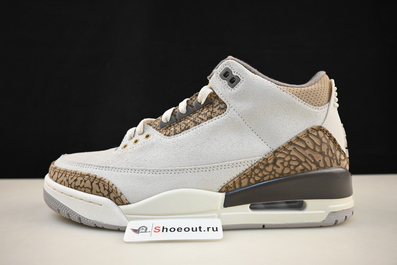 Air Jordan 3 “Palomino” CT8532-102