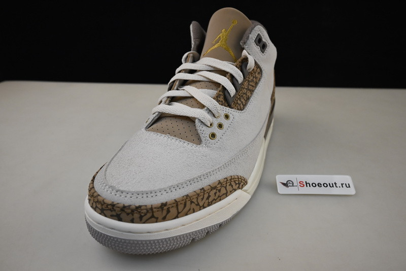 Air Jordan 3 “Palomino”  CT8532-102