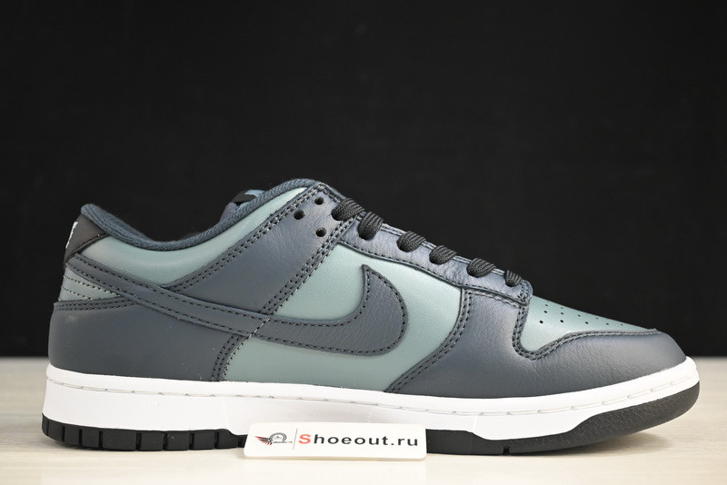 Nike Dunk Low DR9705-300