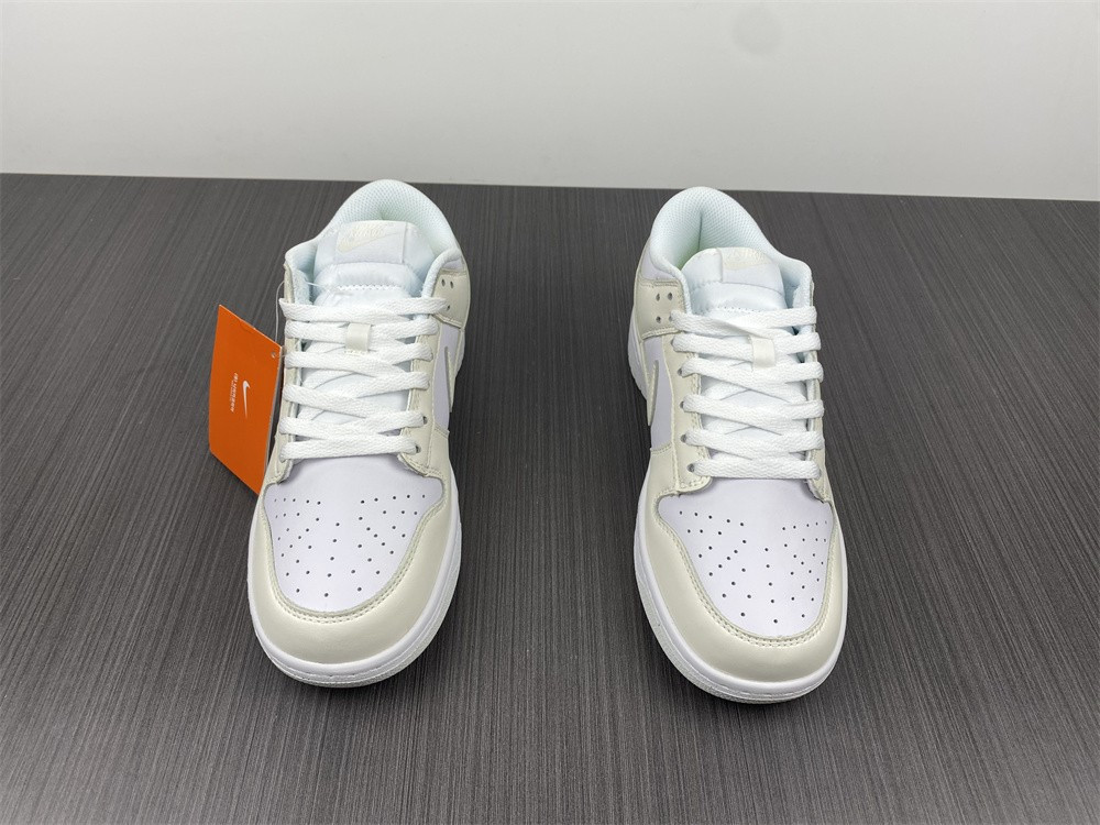 Nike Dunk Low Move To Zero DD1873-101