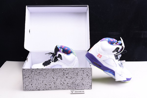 Air Jordan 5 “Alternate Bel-Air” DB3335-100