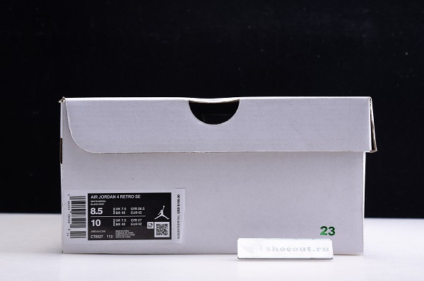 Air Jordan 4 “Pure Money” CT8527-113