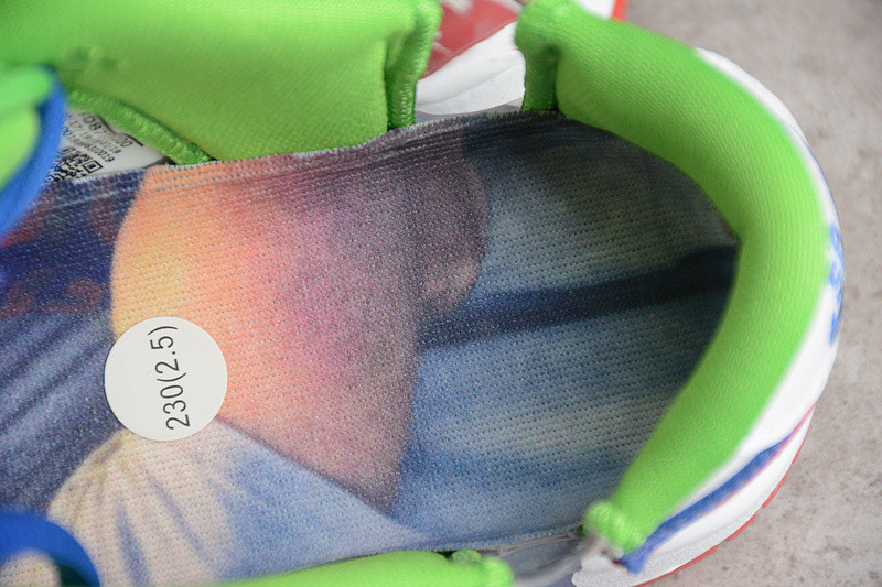eBay x SB Dunk FD8777-100