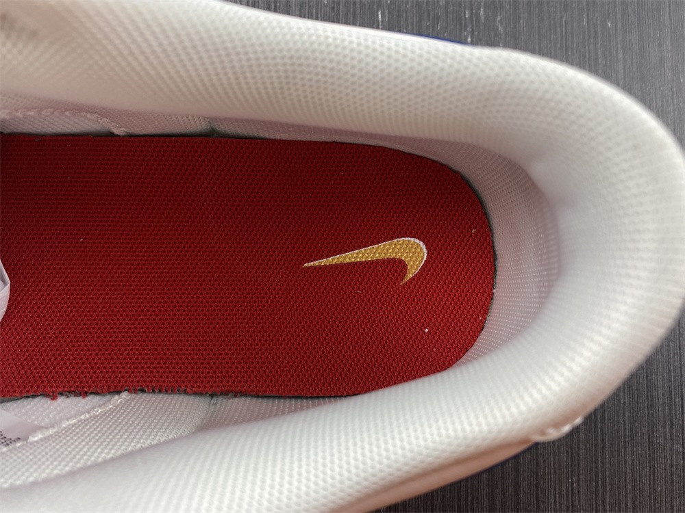 Nike Dunk Low DX3198-13