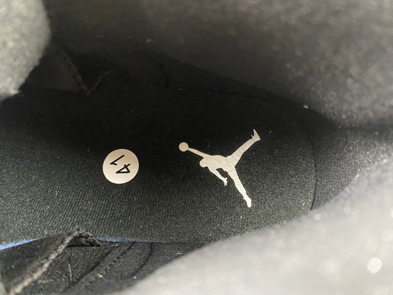 Air Jordan 12 CT8013-019