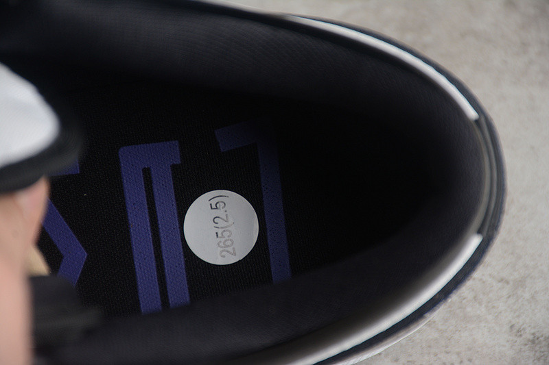 Air Jordan 1 Low “Concord” DV1309-100