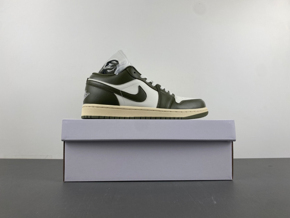 Air Jordan 1 DC0774-122