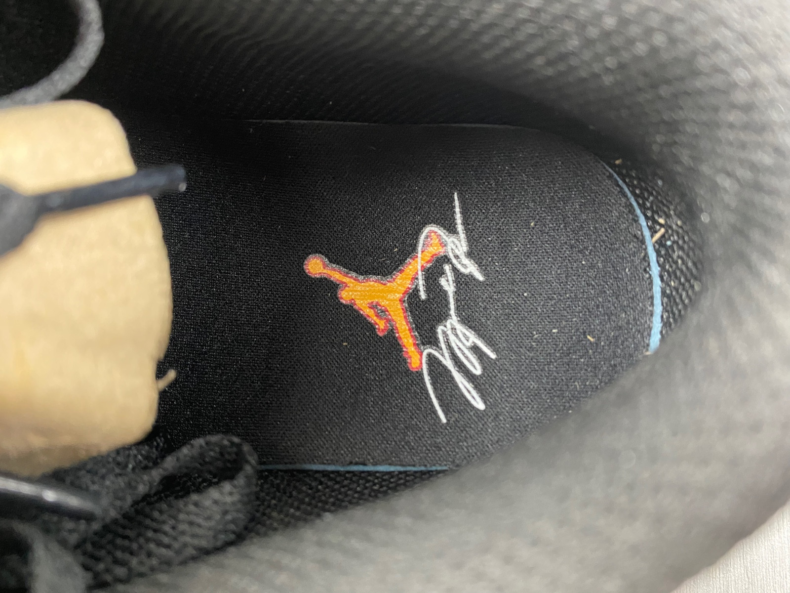 Air Jordan 1 Low FN7308-008