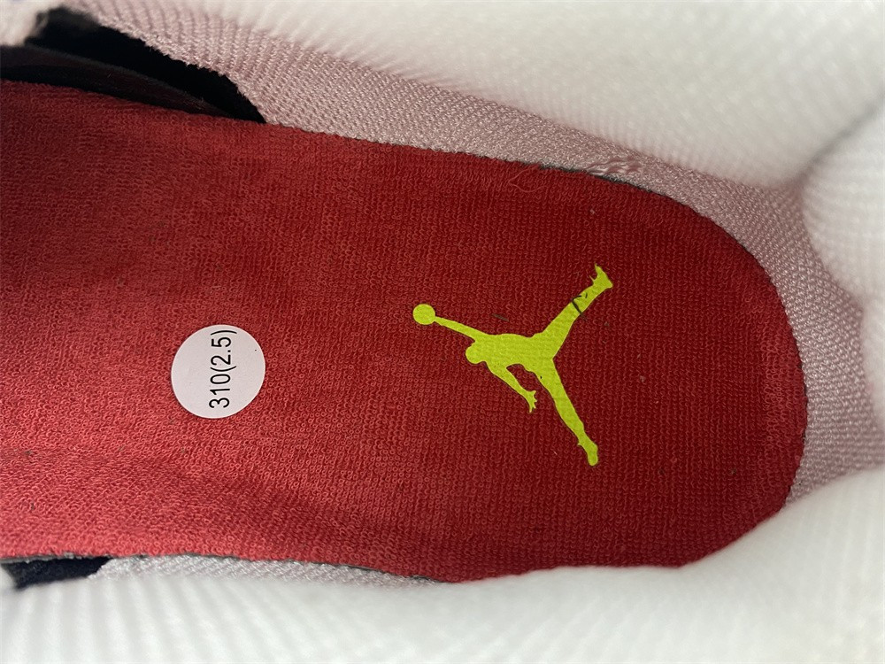 Jordan 4 Retro Doernbecher 308497-015