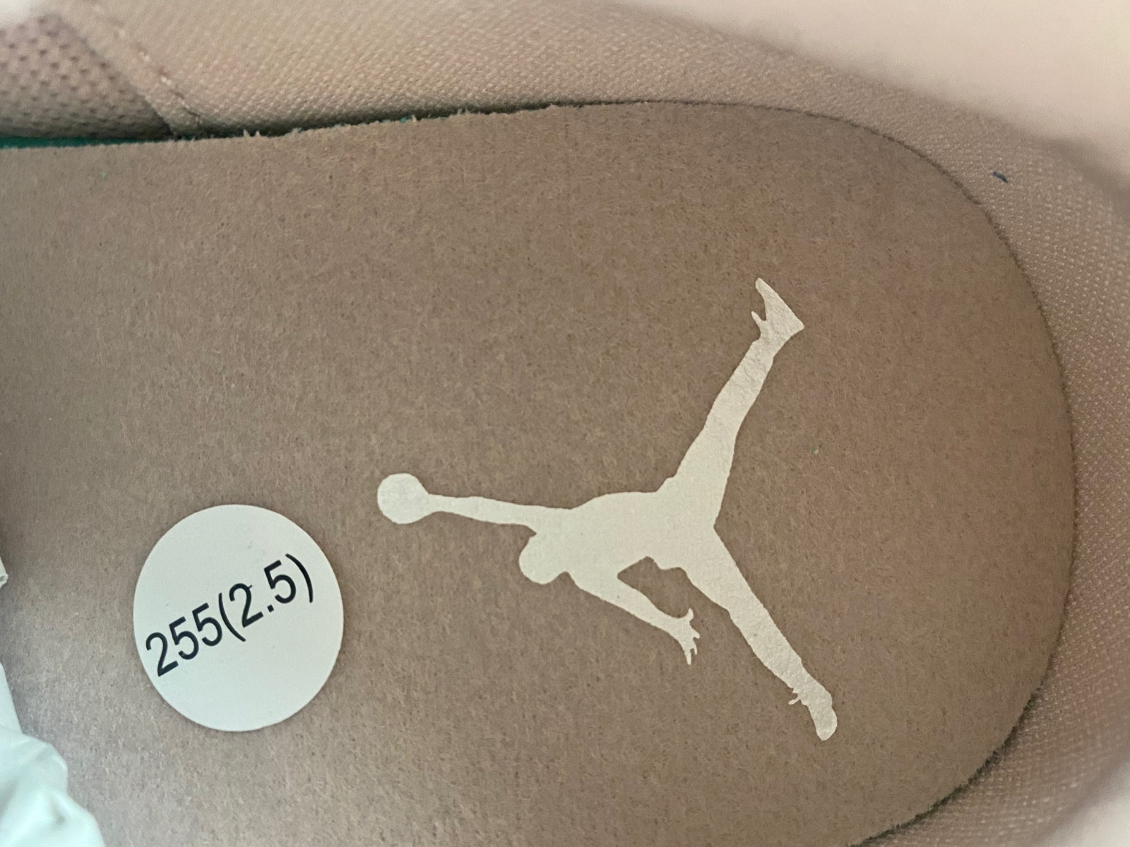 Air Jordan 4 PM “Pink Oxford” (W)  FQ7940-600