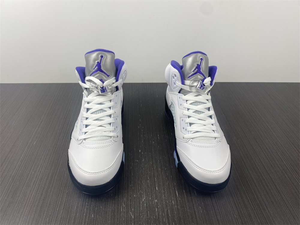 Air Jordan5 CONCORD DD0587-141