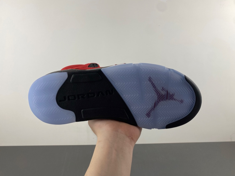 Air Jordan 5 CO0587-600