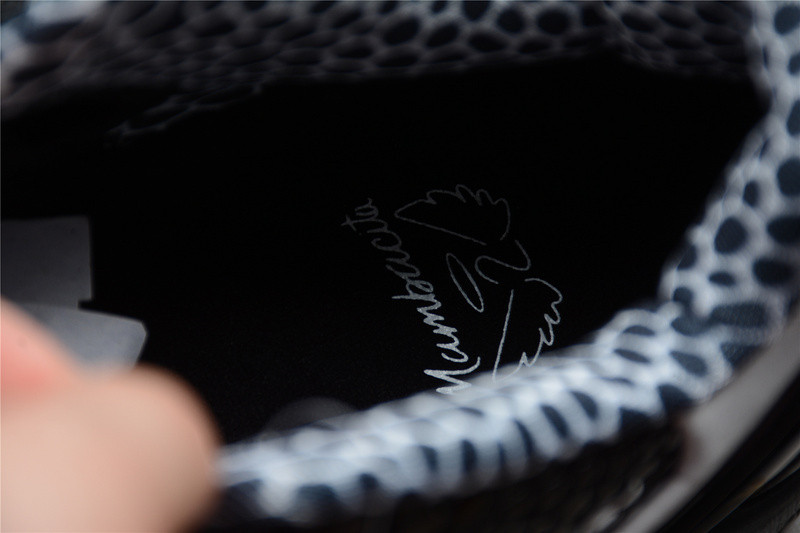 Nike Kobe 6 Protro Mambacita Sweet 16  CW2190-002