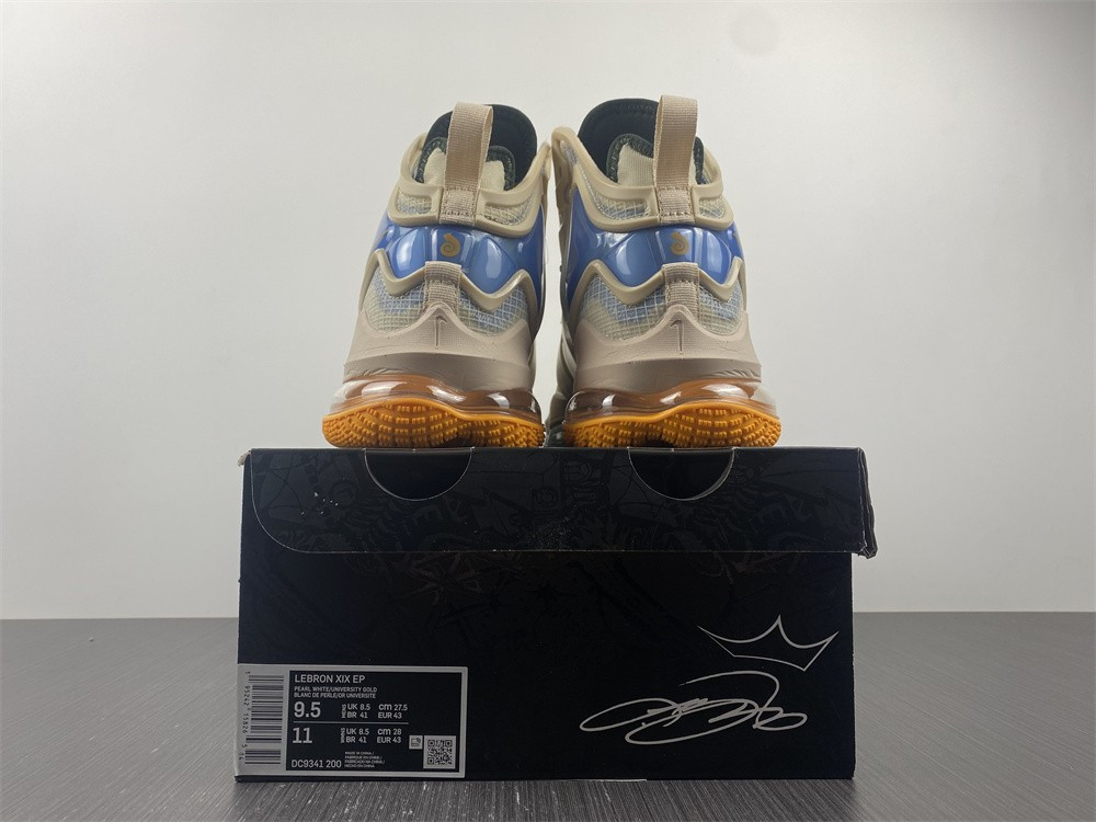 Nike LeBron 19 DC9341-200