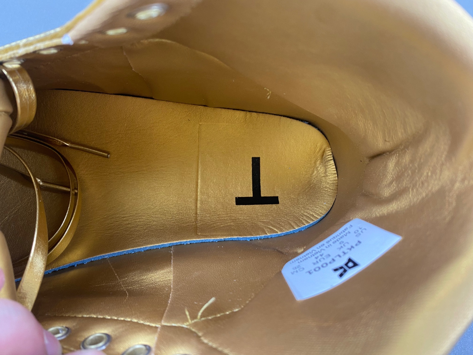 DONALD TRUMP NEVER SURRENDER